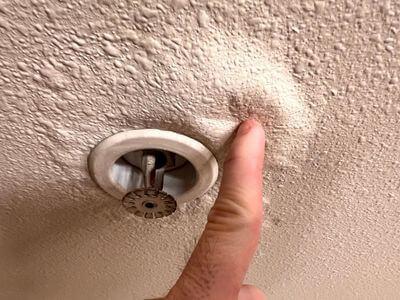 About BlueCrest Crew - water damage restoration experts in Everett