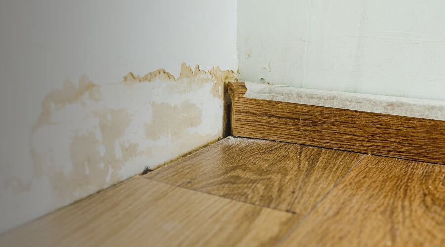 Why choose BlueCrest Crew for water damage restoration in Everett